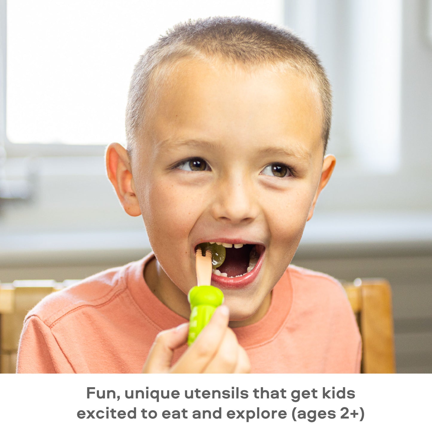 Food Pick Set - 2 pk