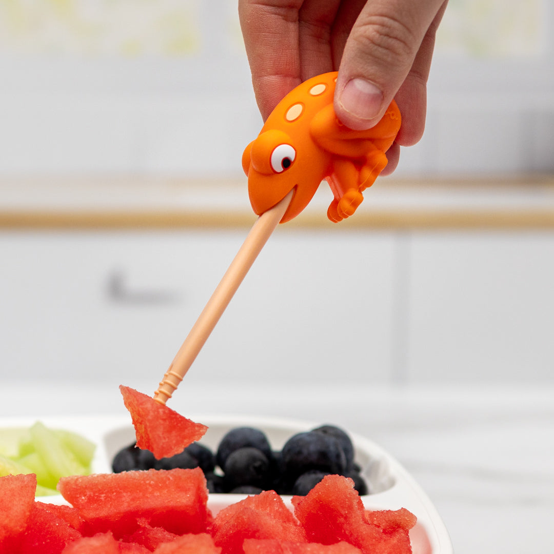 Food Pick Set - 2 pk
