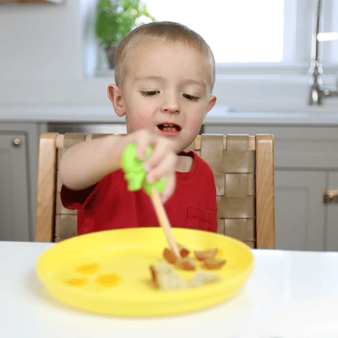 Food Pick Set - 2 pk